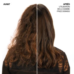 Masque Anti-Frisottis Frizz Dismiss Redken 250ml -Magasin De Soins Capillaires 3474636961030 2 1 09650.1694783020
