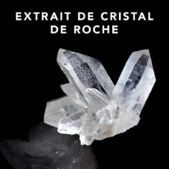 Trilliance Shampoo Sebastian 250ml -Magasin De Soins Capillaires 51122 3 76641.1688998406