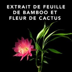 Volupt Spray Sebastian 150ml -Magasin De Soins Capillaires 52361 4 35228.1688735230