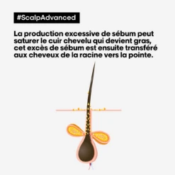 Shampooing Dermo-Purifiant Anti Gras Scalp Advanced L'Oréal 500ml -Magasin De Soins Capillaires scalp advanced anti gras se bum 13592.1684847787